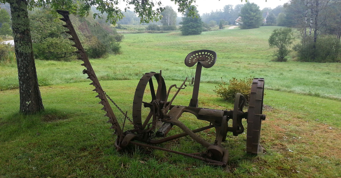 The Mower That Moved Us