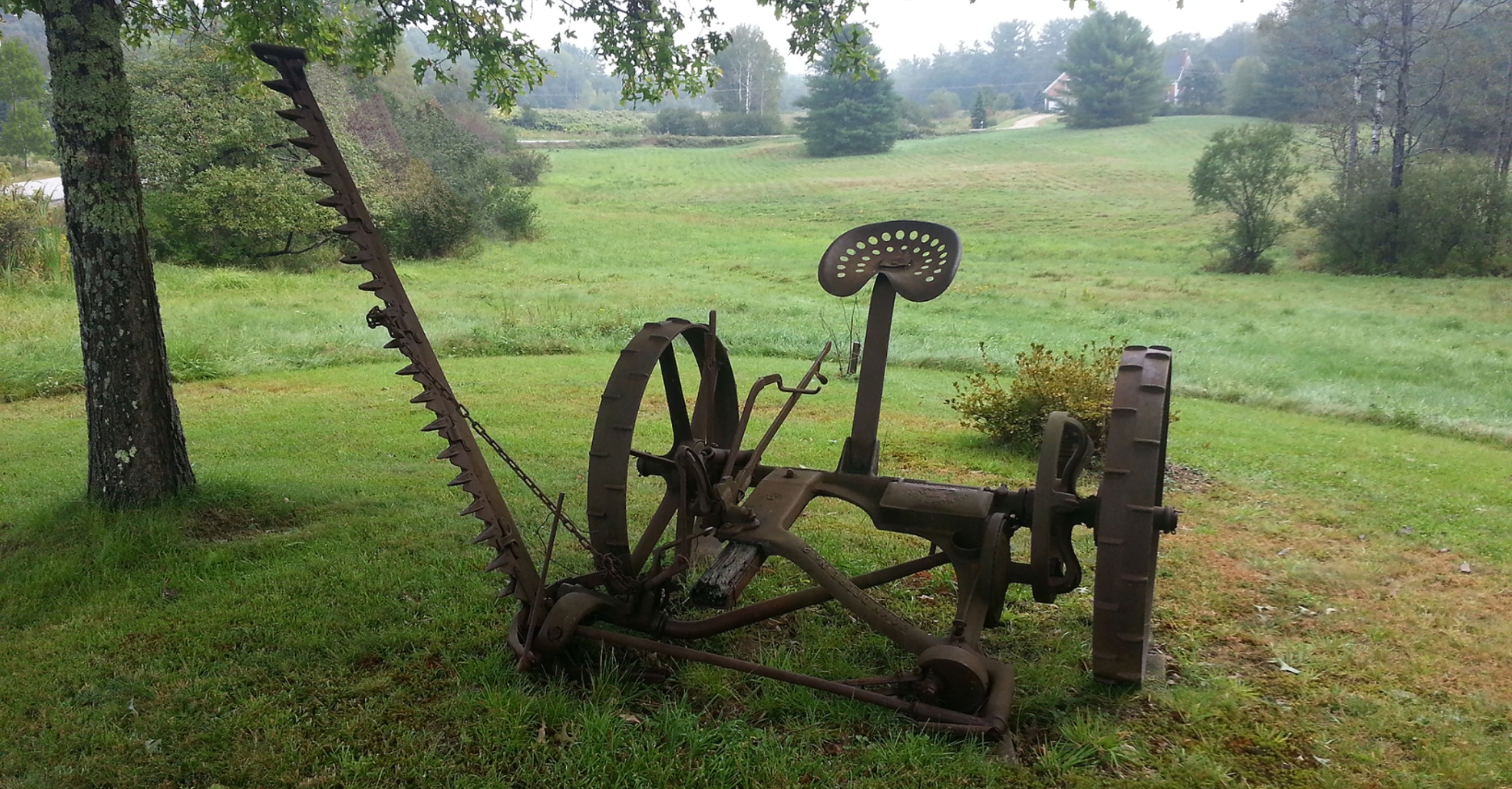 The Mower That Moved Us