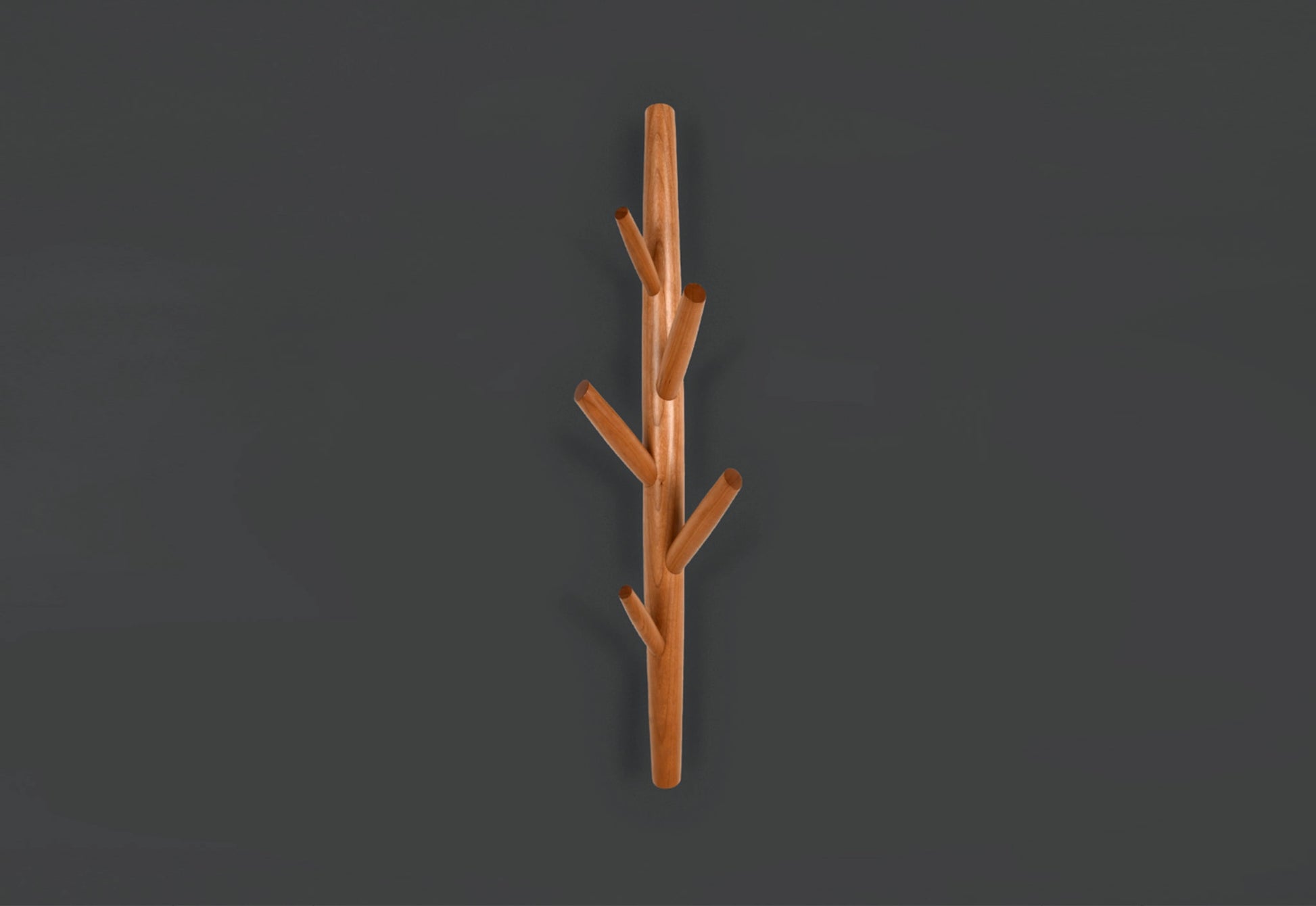 Wooden coat branch with multiple hooks on a dark gray background