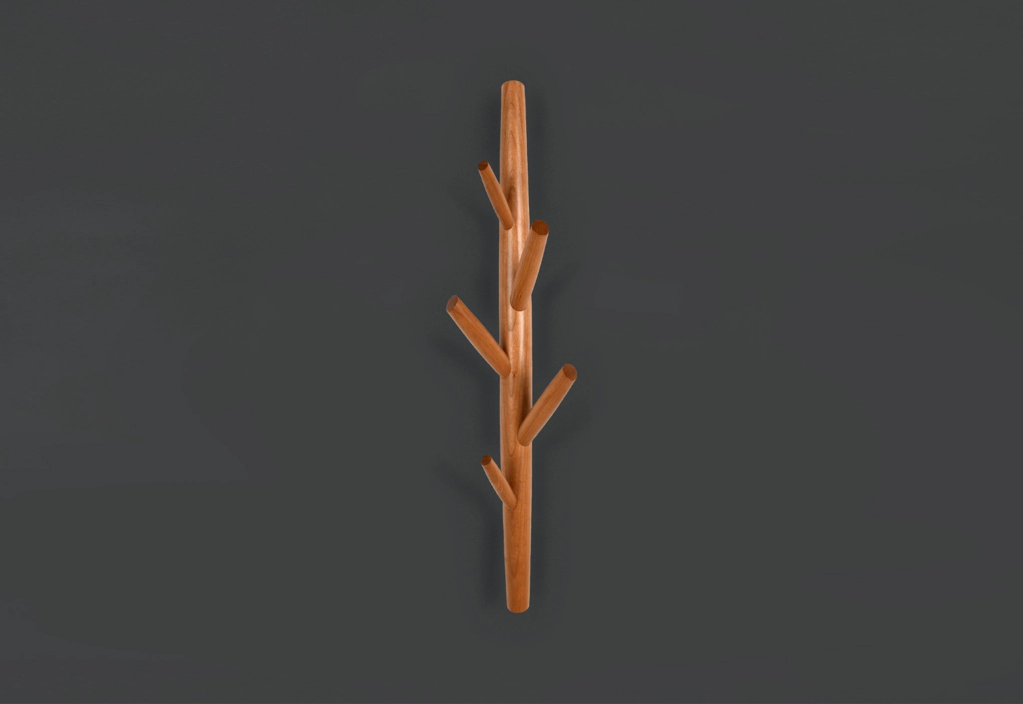Wooden coat branch with multiple hooks on a dark gray background