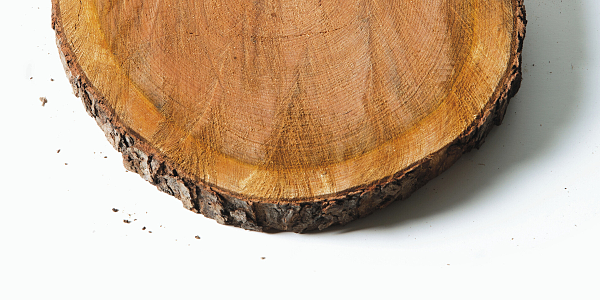 A half round cut of cherry wood.