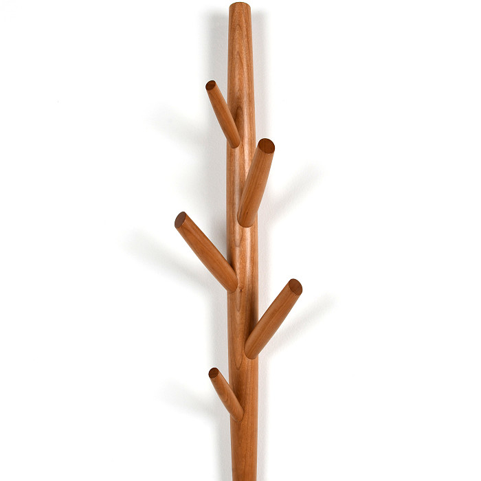 Cherry coat branch on white wall